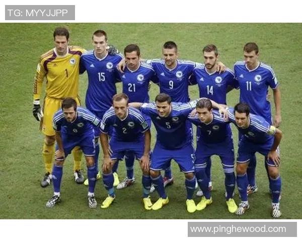 丹麦与波黑友谊赛精彩对决展现足球魅力与团队精神