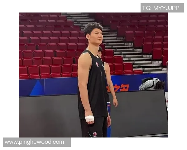 王哲林在CBA赛场的崛起之路与未来发展潜力分析